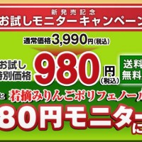 asahi-wakadumiringo